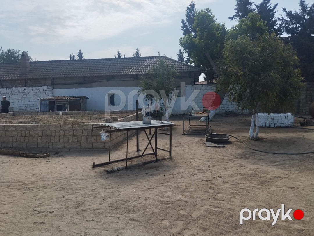 Satılır torpaq 5 sot — Torpaq, Bakı (3)