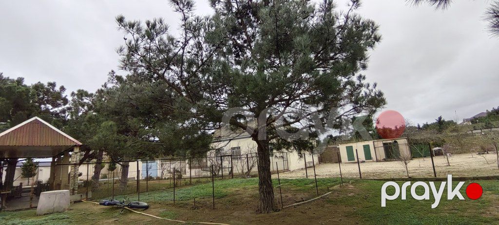 Satılır torpaq 20 sot — Torpaq, Bakı (11)