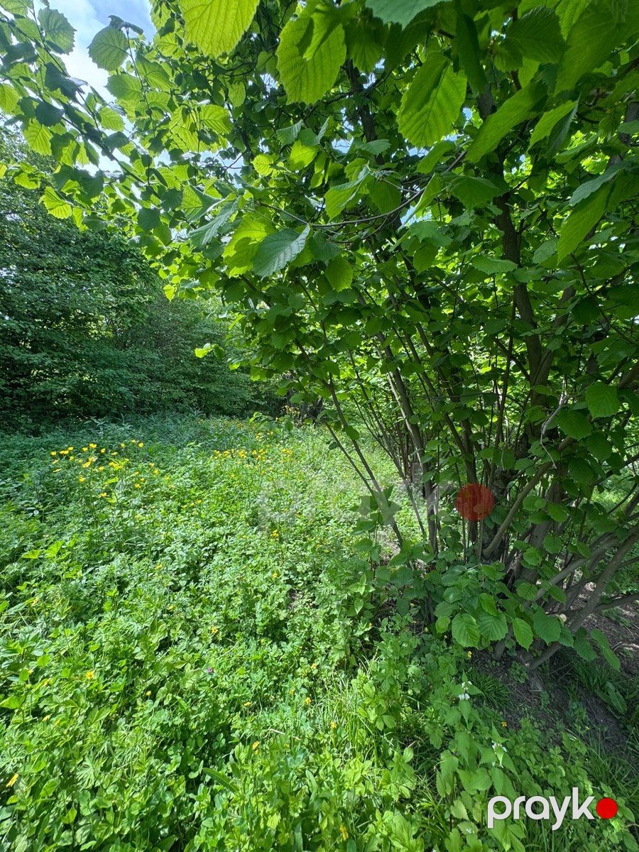 12 sot torpaq sahəsi, Qusar r — Torpaq, Qusar (2)