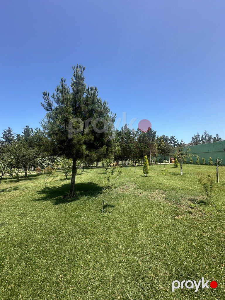 Satılır torpaq 9 sot — Torpaq, Bakı (12)