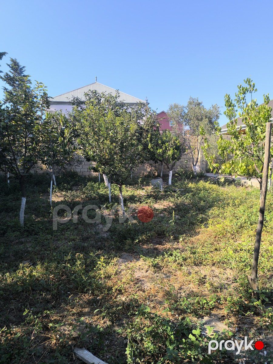 Satılır torpaq 5 sot — Torpaq, Bakı (3)