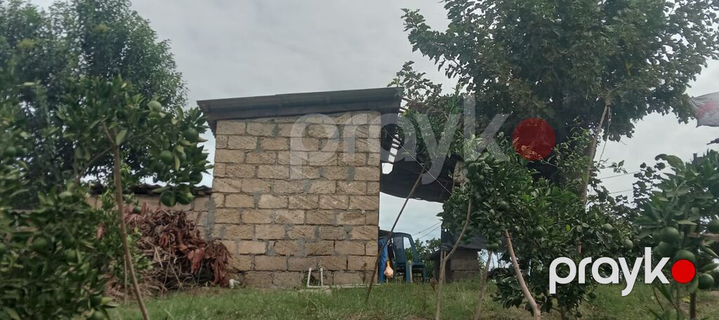 3 otaqlı, 100 kv. m, Kredit yoxdur, Orta təmir — Ev, villa, Astara (5)