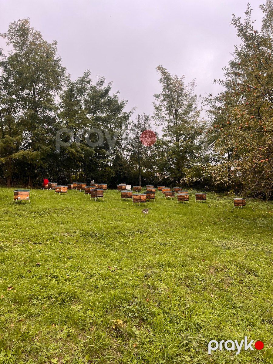 30 sot torpaq sahəsi, Qusar r — Torpaq, Qusar (6)