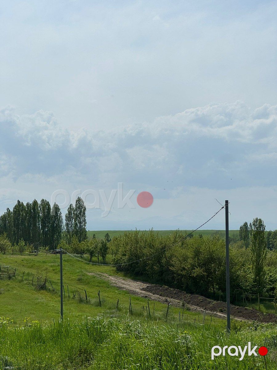 12 sot torpaq sahəsi, Qusar r — Torpaq, Qusar (7)