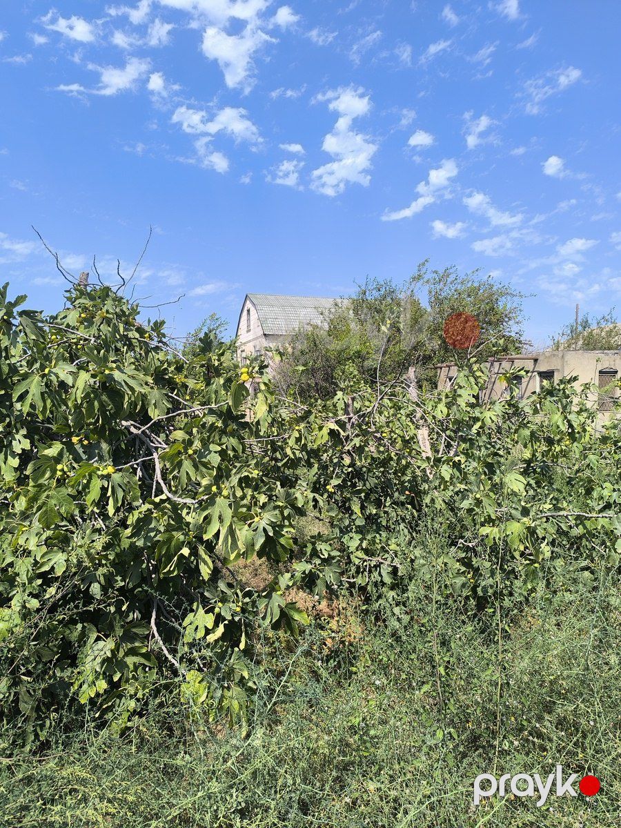 Satılır torpaq 16 sot — Torpaq, Bakı (4)