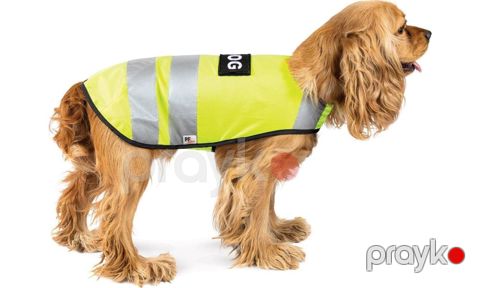 Jilet Pet Fashion Active Yellow Vest, ölçü S — Bakı
