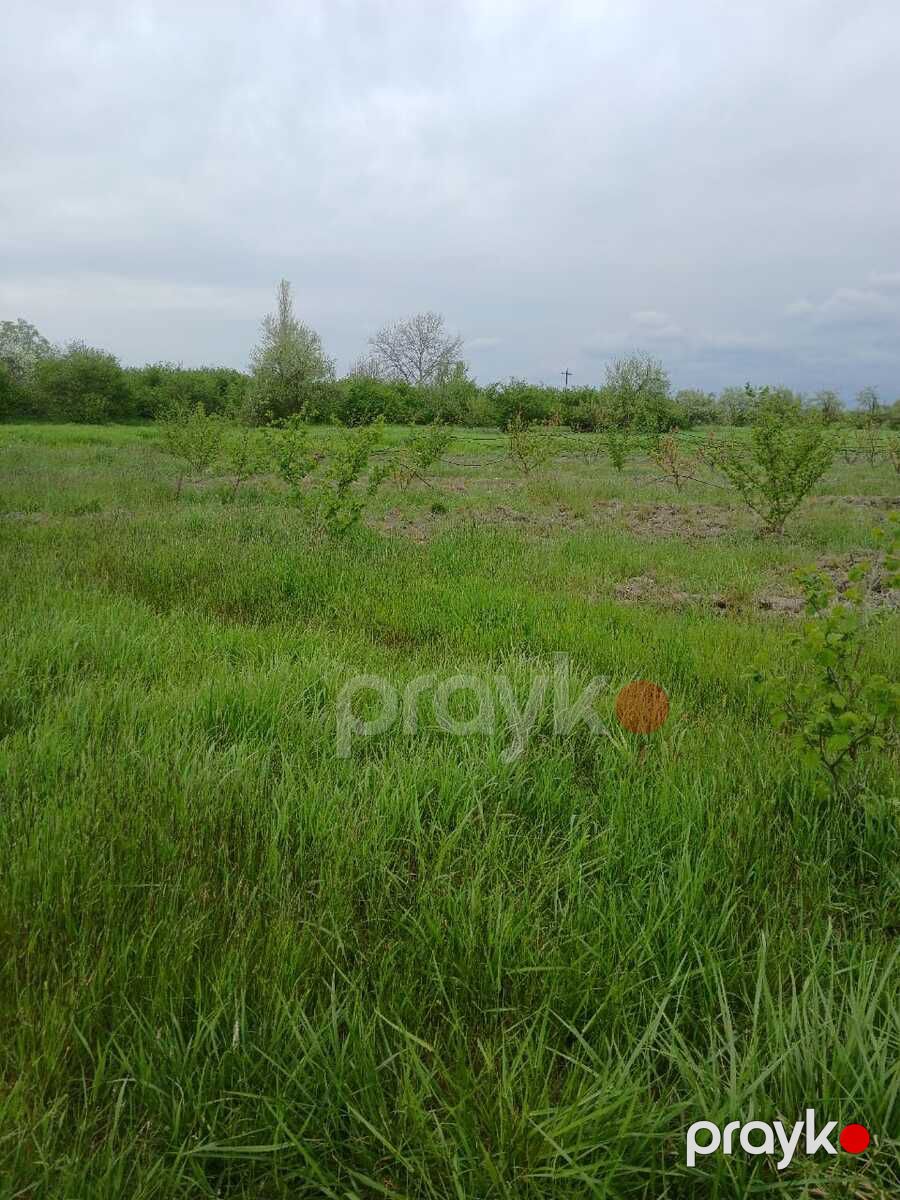 125 sot torpaq sahəsi, Xaçmaz r — Torpaq, Xaçmaz (6)