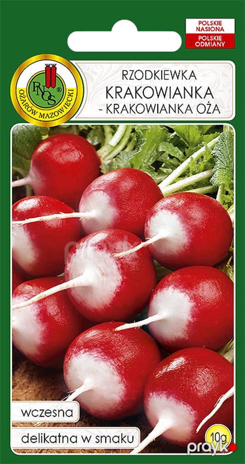 Tərəvəz toxumları Pnos Turp Krakowianka, 10 q — Bakı
