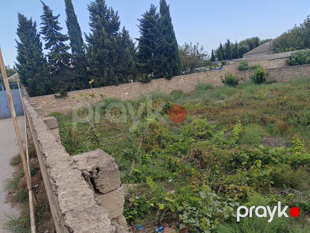8 sot torpaq sahəsi, Sabunçu r — Torpaq, Bakı (2)