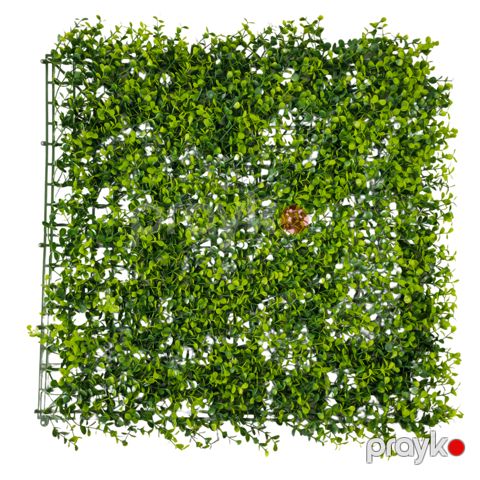 Süni yaşıllıq divar paneli 610s, plastik, 50x50 sm — Bakı