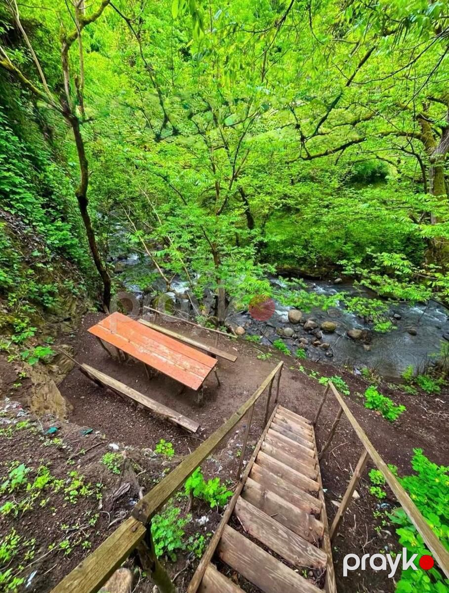Satılır torpaq 14 sot — Torpaq, Lerik (7)