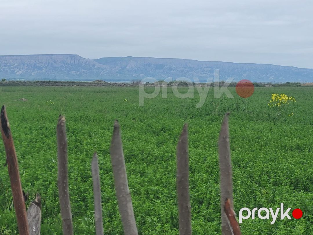 26000 sot torpaq sahəsi, Göyçay r — Torpaq, Göyçay (3)