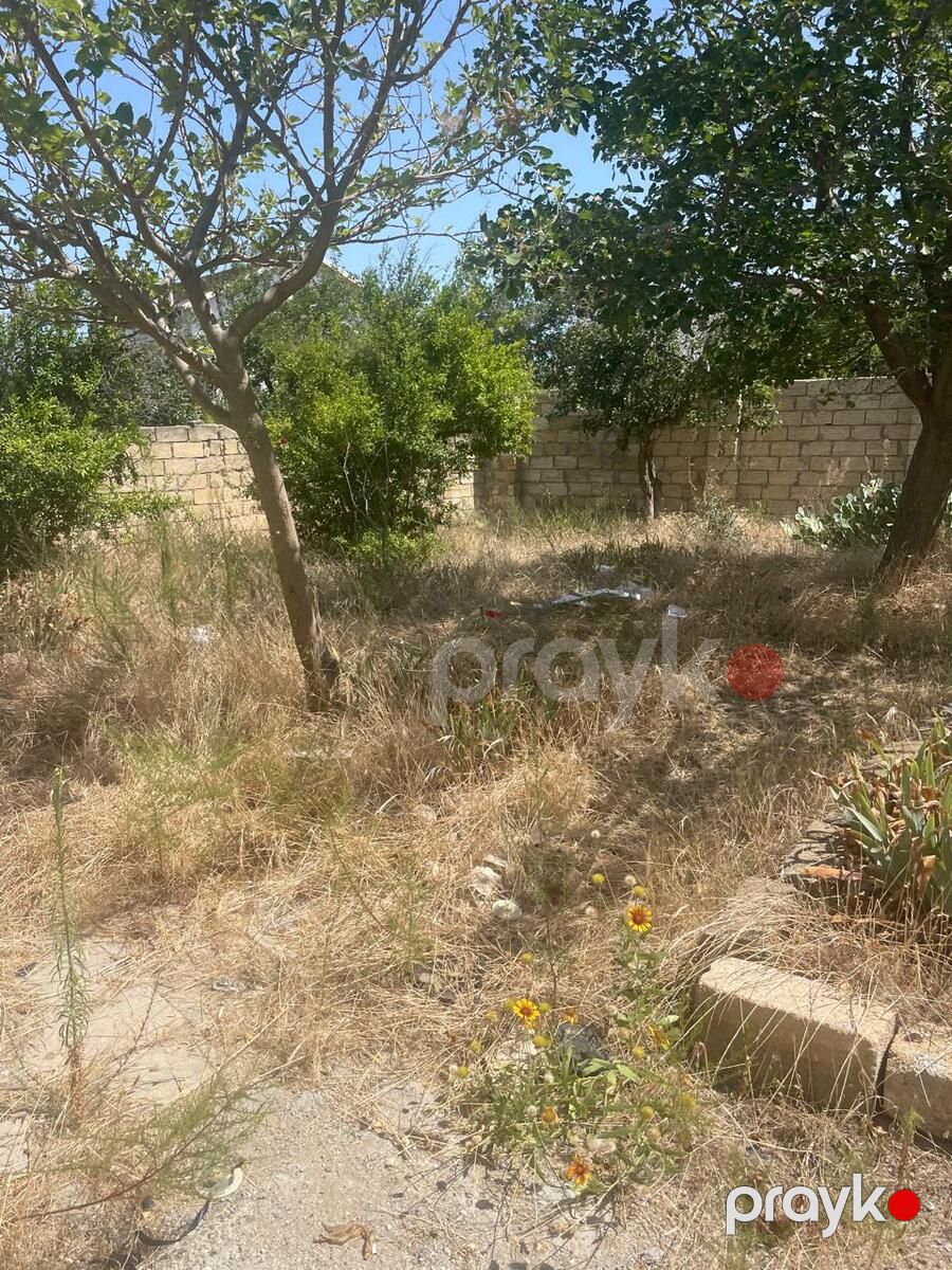 Satılır torpaq 14 sot — Torpaq, Bakı (4)