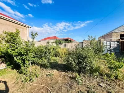 Pirşağı qəsəbəsində həyət evi satılır — Ev, villa (8)