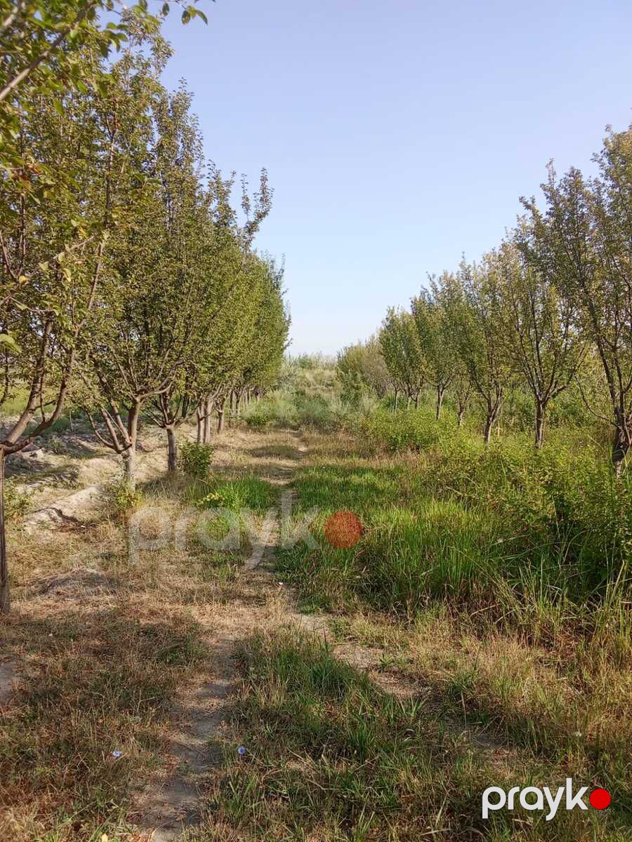 Satılır torpaq 4200 sot — Torpaq, Ağdaş (3)