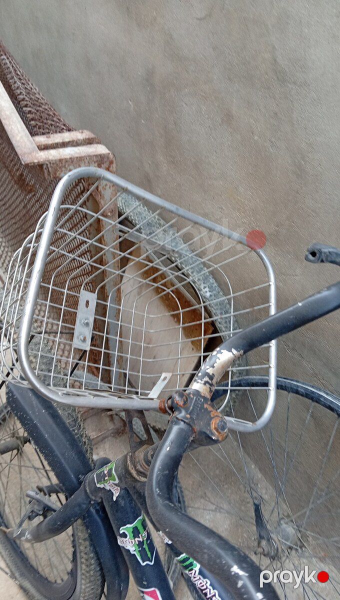 Velosiped — Velosipedlər, Bakı (3)