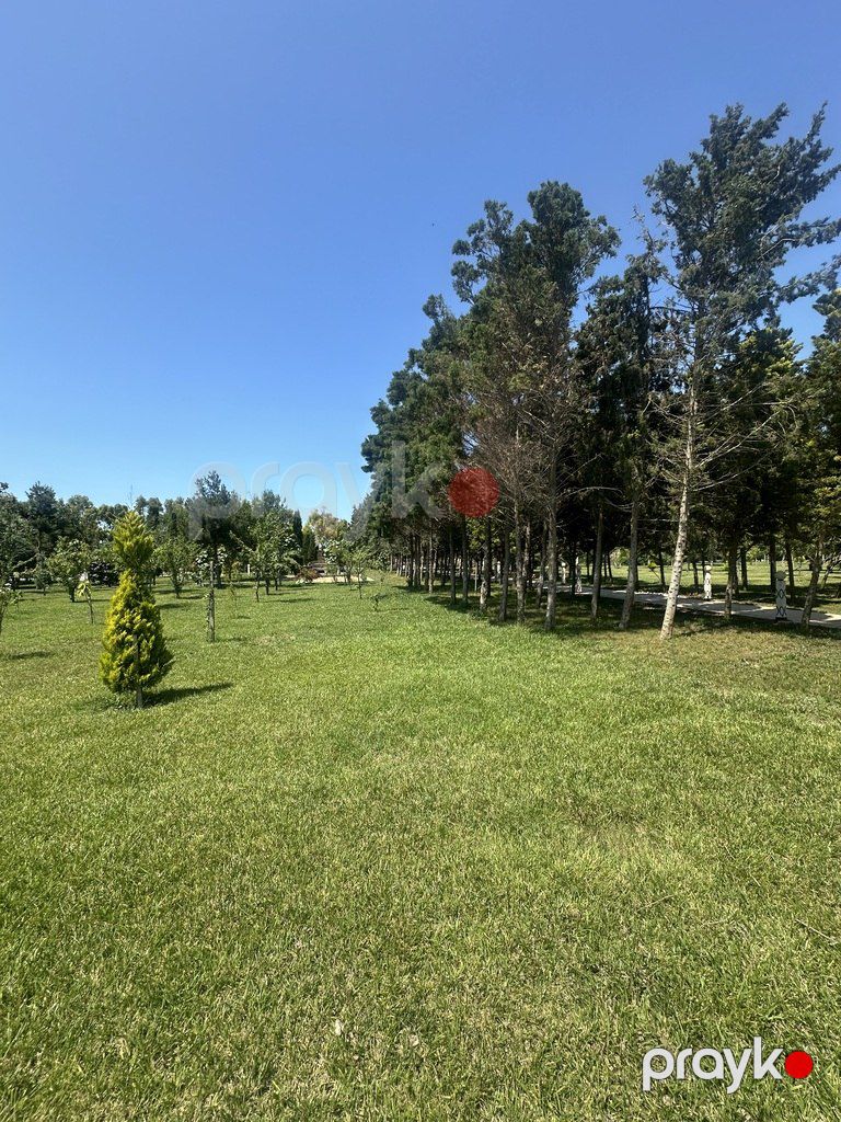 Satılır torpaq 9 sot — Torpaq, Bakı (10)