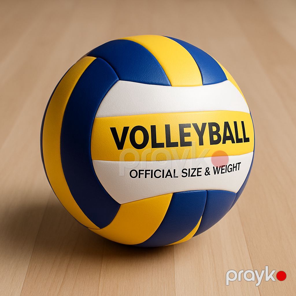 Voleybol topu Professional Volleyball Official Size&Weight, ölçü 5 — Mallar, Bakı