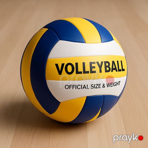 Voleybol topu Professional Volleyball Official Size&Weight, ölçü 5 — Bakı