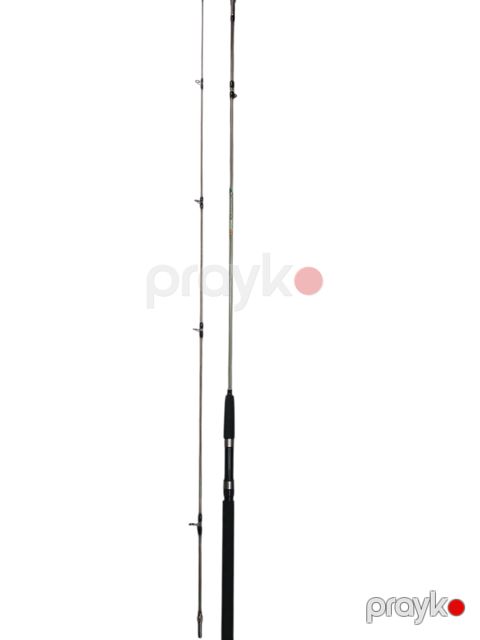 Tilov ağacı 2185472, 3 m — Bakı