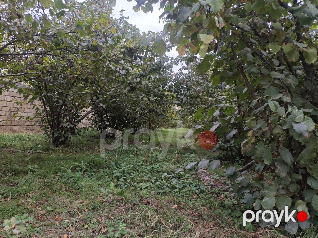 14 sot torpaq sahəsi, Xaçmaz r — Torpaq, Xaçmaz (3)