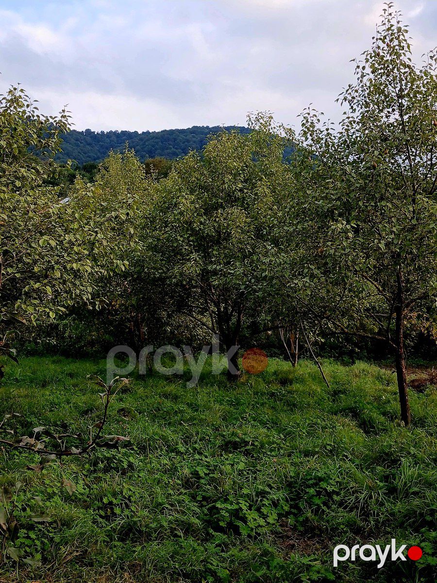 Satılır torpaq 25 sot — Torpaq, Quba (6)