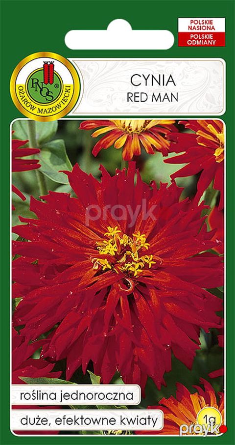 Çiçək toxumları Pnos Cynia Red Man, 1 q — Bakı