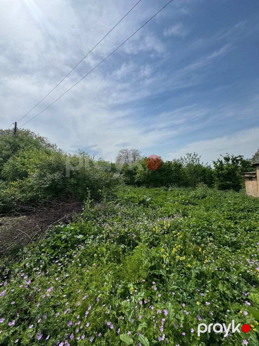 12 sot torpaq sahəsi, Qusar r — Torpaq, Qusar (6)