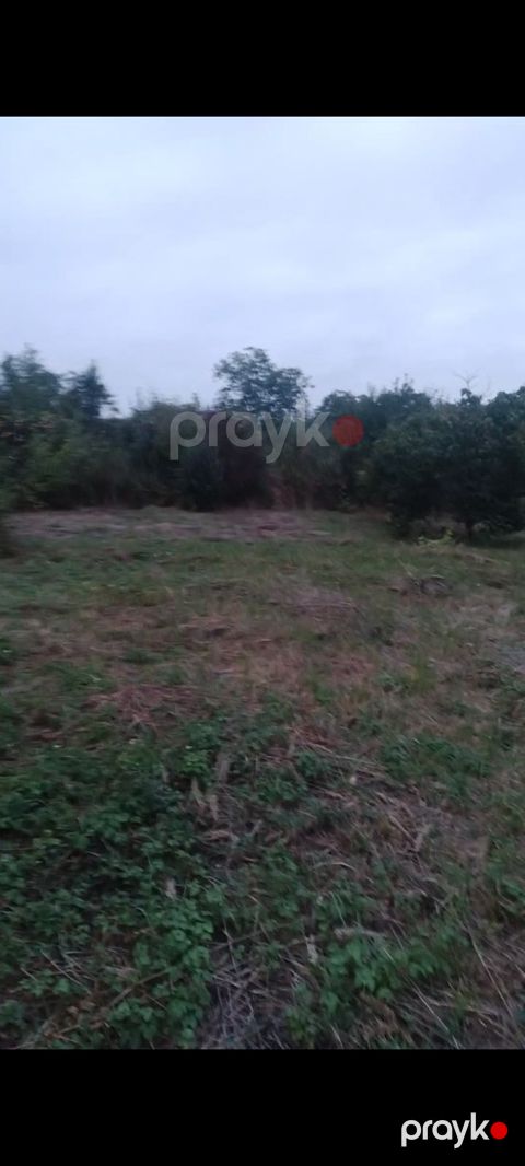 3 sot torpaq sahəsi, Çinarlı kəndi — Quba