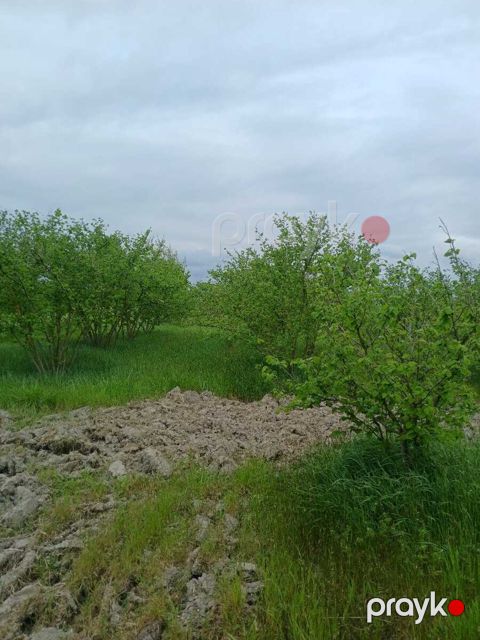 125 sot torpaq sahəsi, Xaçmaz r — Xaçmaz