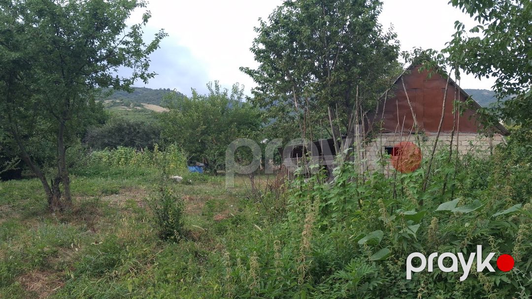15 sot torpaq sahəsi, İsmayıllı r — Torpaq, İsmayıllı (7)