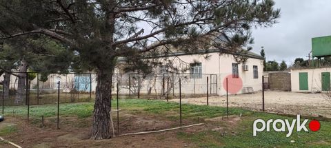Satılır torpaq 20 sot — Bakı
