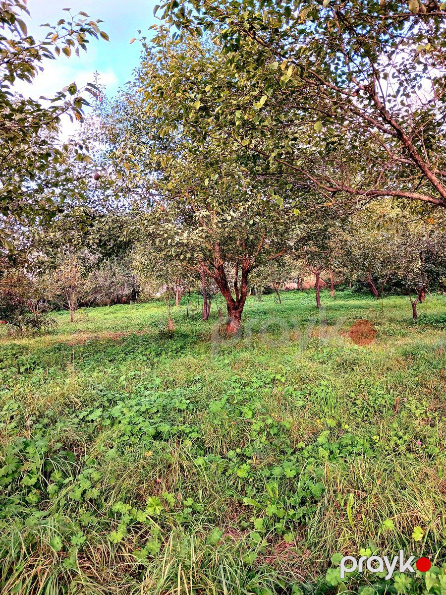 Satılır torpaq 25 sot — Torpaq, Quba (8)
