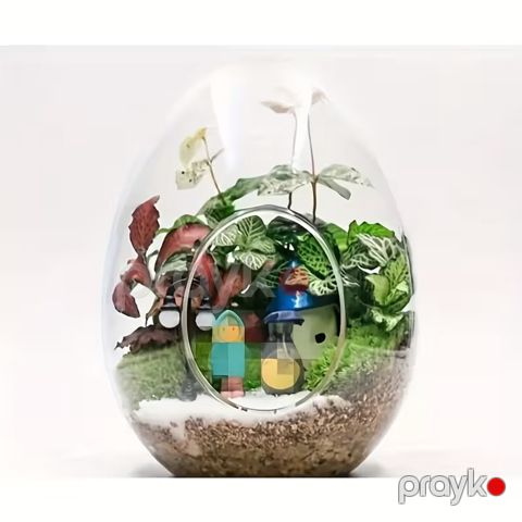 Terrarium 10814, plastik — Bakı