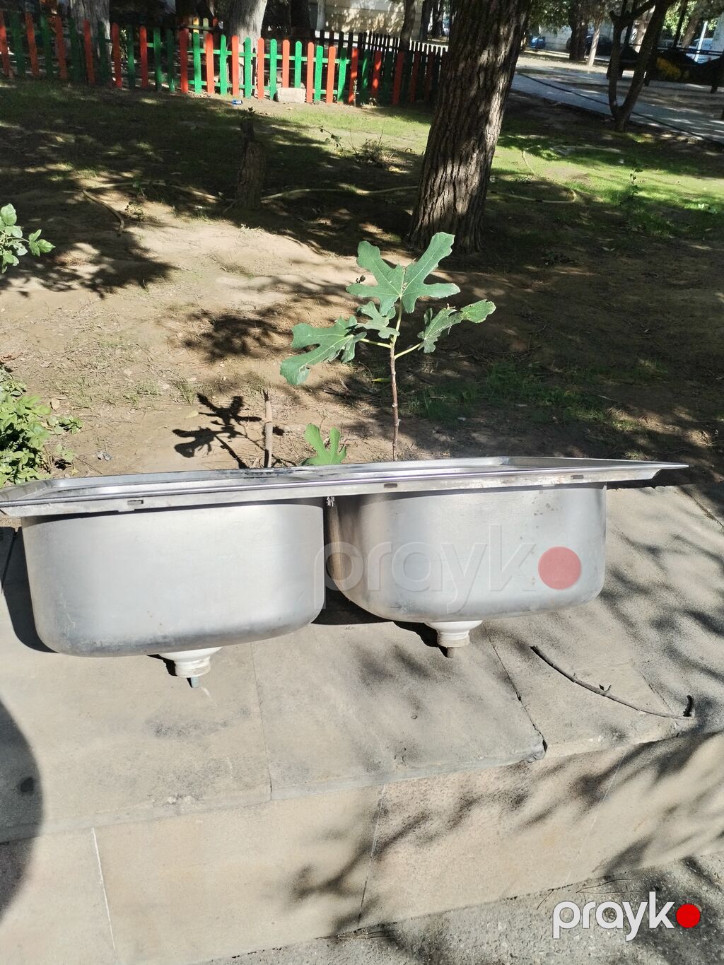 Mətbəx üçün moyka lavabo, paslanmaayib baxımsız qaldığı üçün ləkələr — Mətbəx lavabolarında, Bakı (3)
