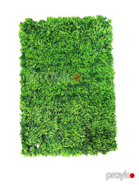 Divar paneli 65841731, yaşıl, 40x60 sm — Bakı