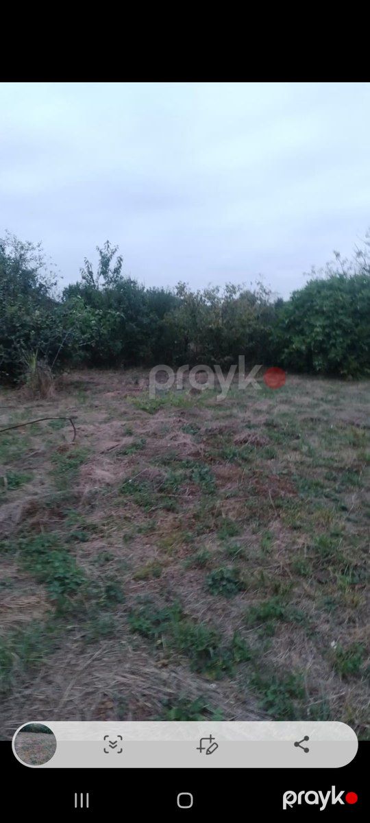 3 sot torpaq sahəsi, Çinarlı kəndi — Torpaq, Quba (2)