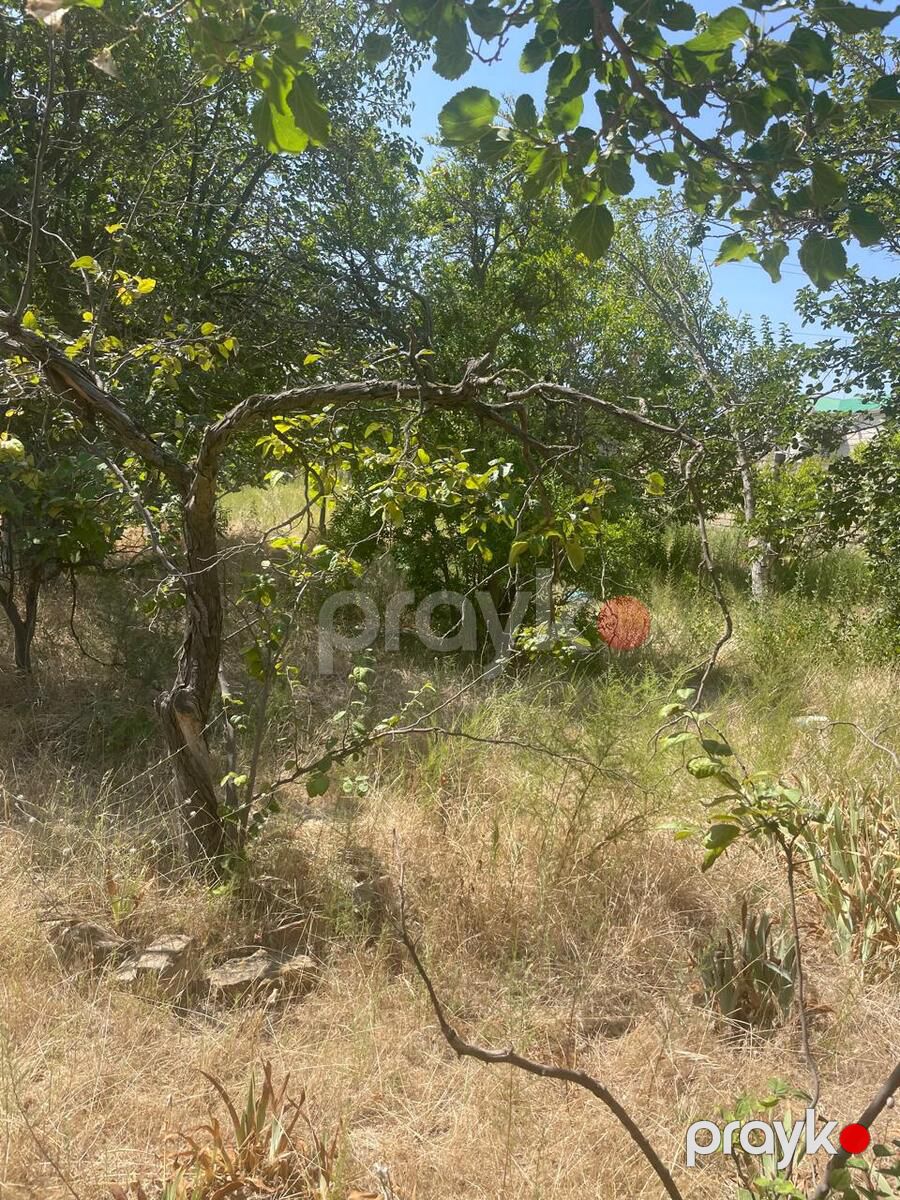 Satılır torpaq 16 sot — Torpaq, Bakı (7)