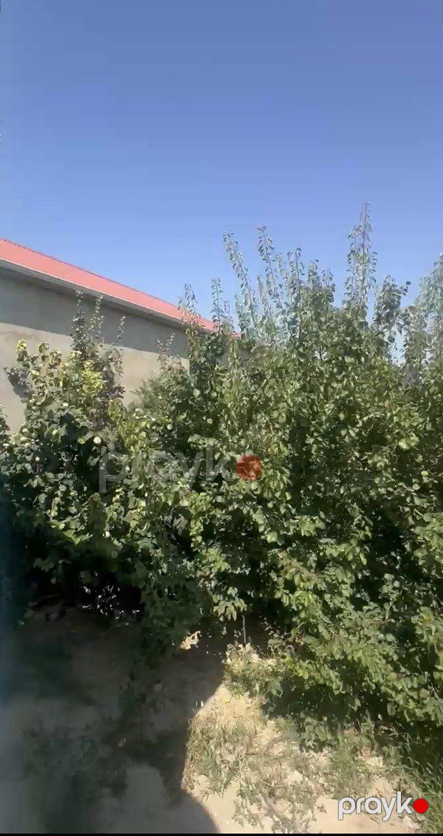 Satılır 2 otaqlı həyət evi/bağ evi 60 m² — Ev, villa, Bakı (9)