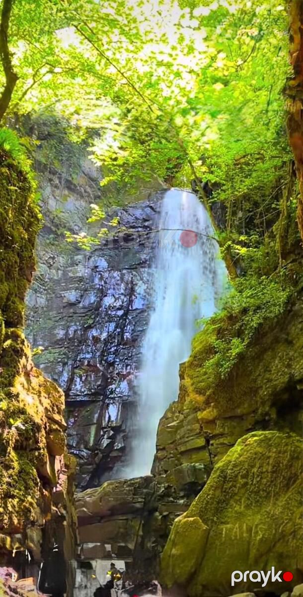 Satılır torpaq 14 sot — Torpaq, Lerik (9)