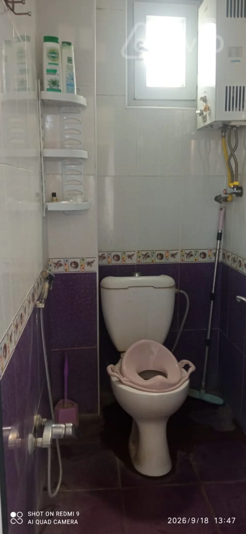 1 otaqlı həyət evi, 30 m², Azerbaycan kend ehmedli. — kirayə — Ev, villa, Bakı (12)