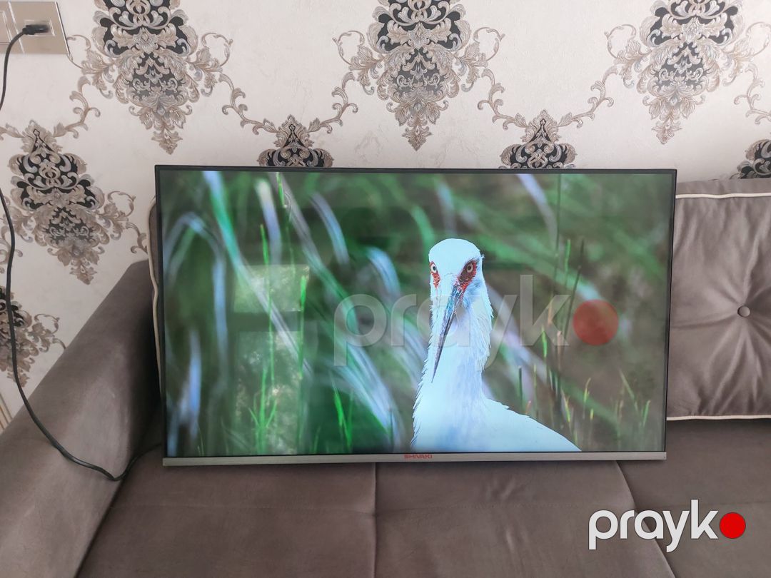 Televizor Shivaki — TV və Video, Bakı (11)