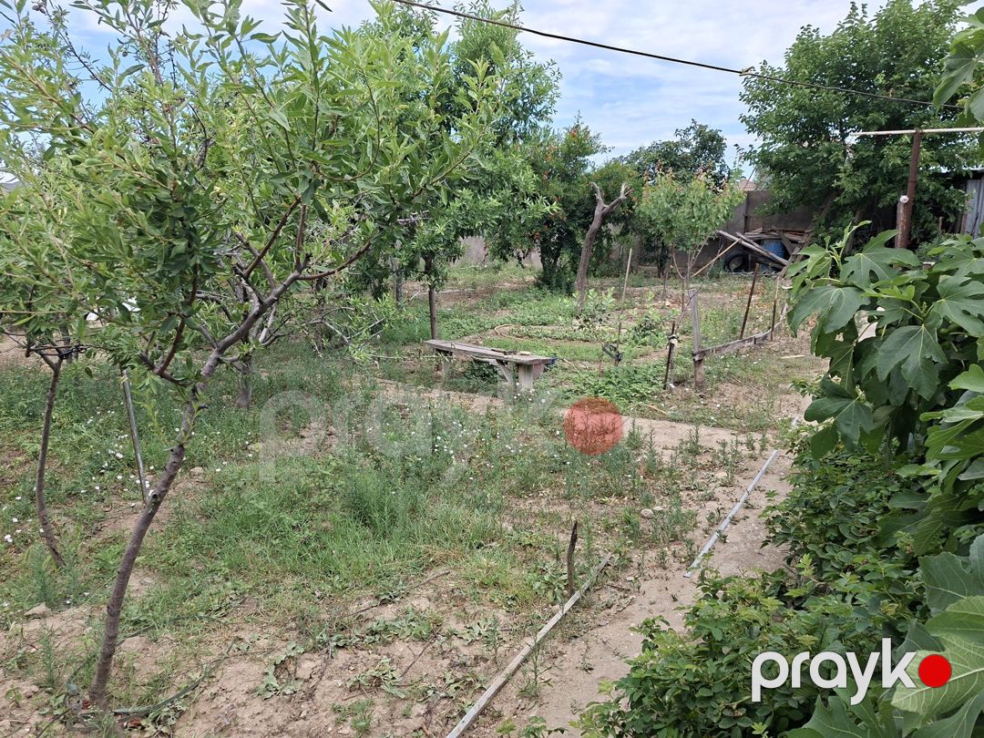 Satılır torpaq 6 sot — Torpaq, Bakı (2)