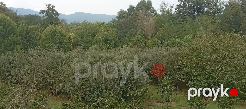 3 otaqlı, 100 kv. m, Kredit yoxdur, Orta təmir — Ev, villa, Astara (9)