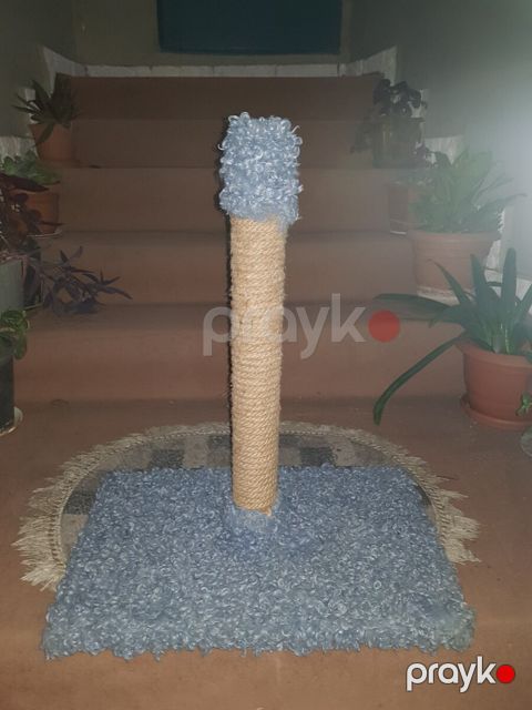 Dırnaq itiləyən — Bakı