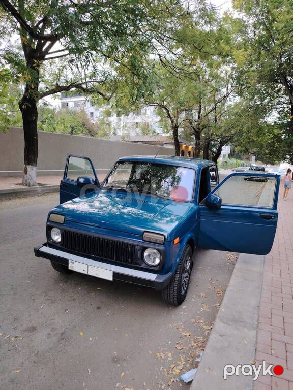 Lada (VAZ) Niva, 1.7 L, 2013 il, 180 000 km — Avtomobillər, Lənkəran (4)