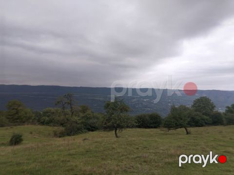 Kənd təsərrüfatı, Mülkiyyətçi, Kupça (Çıxarış) — Qusar