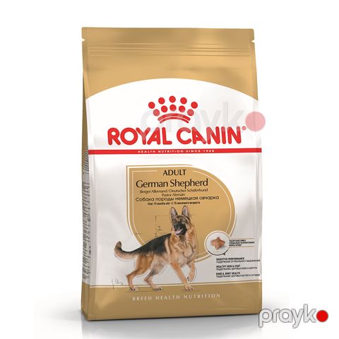 Quru yem Royal Canin German Shepherd alman çoban it cinsli böyük itlər üçün 11 kq — Bakı