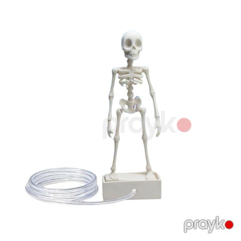 Akvarium üçün dekor 5953, 15 sm — Bakı