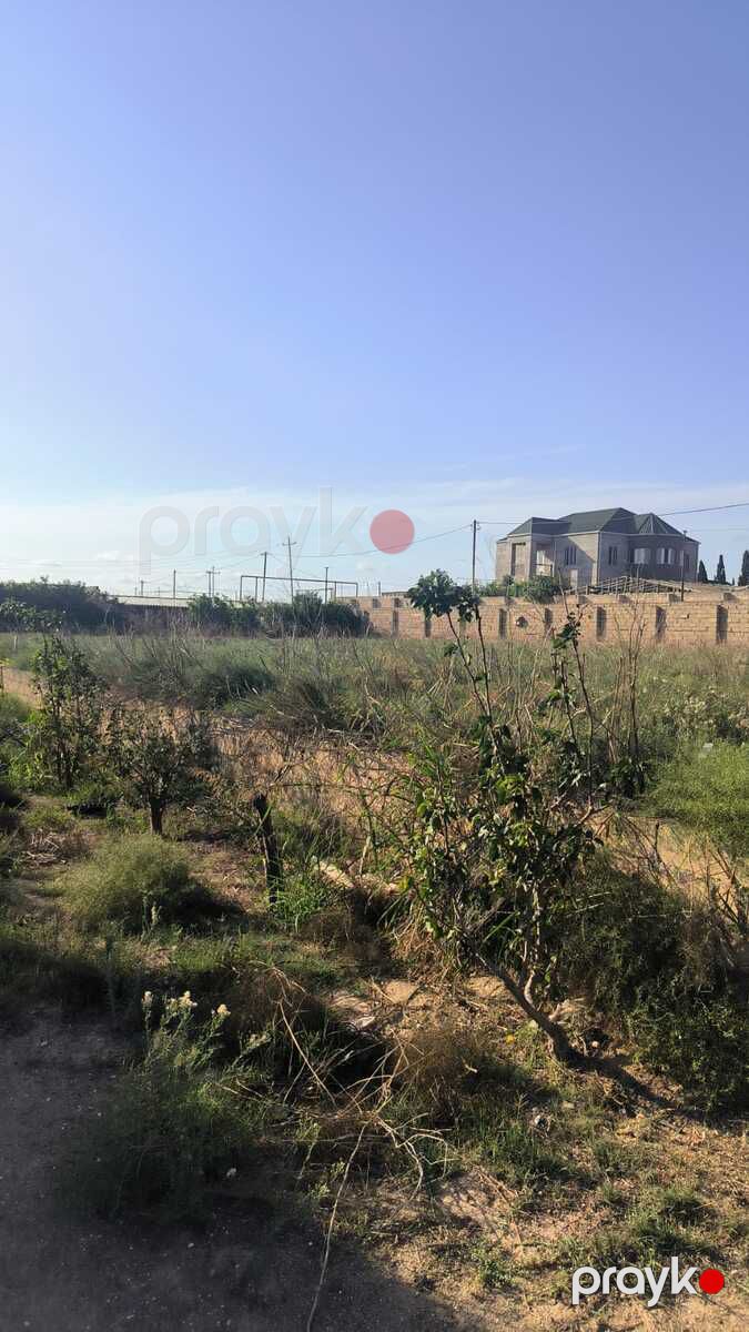 Satılır torpaq 72 sot — Torpaq, Bakı (11)